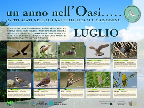 Luglio